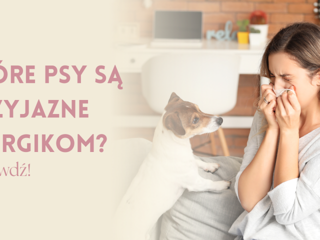 Psy dla alergików: które rasy nie uczulają?